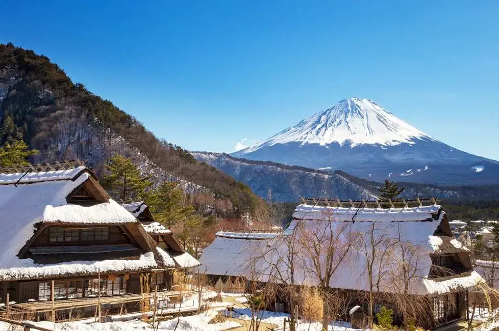 [Winter Limited Time Offer] One-Day Tour of Mt. Fuji's Popular Saiko Gassho-zukuri Village & Kawaguchiko Lake Festival Fireworks Display | Saiko Ice Festival or Saiko Rigane Gassho-zukuri Village, Lawson Convenience Store, Nikkawa Clock Fuji Michi, Tendai Town, Oike Park, Kawaguchiko Fireworks (Departing from Tokyo) | Optional Hot Spring Experience