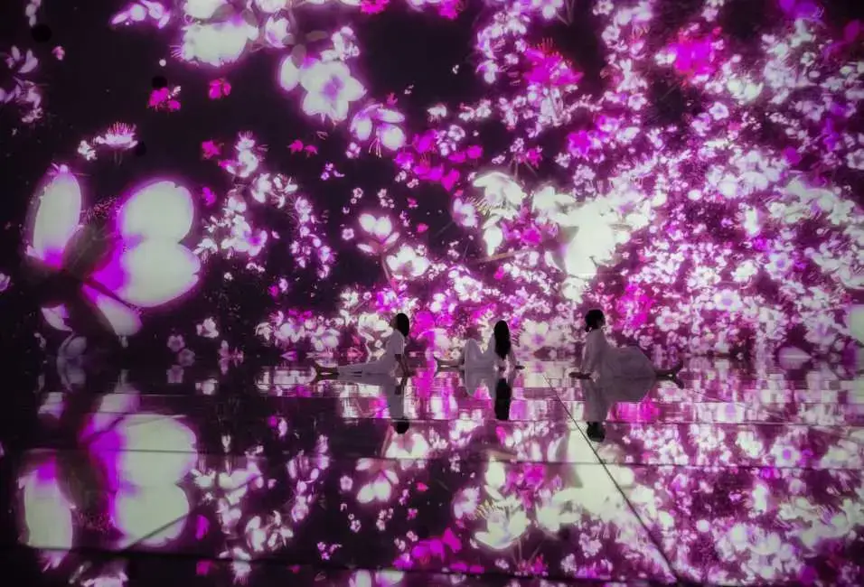 日本｜teamLab Planets TOKYO 豐洲門票