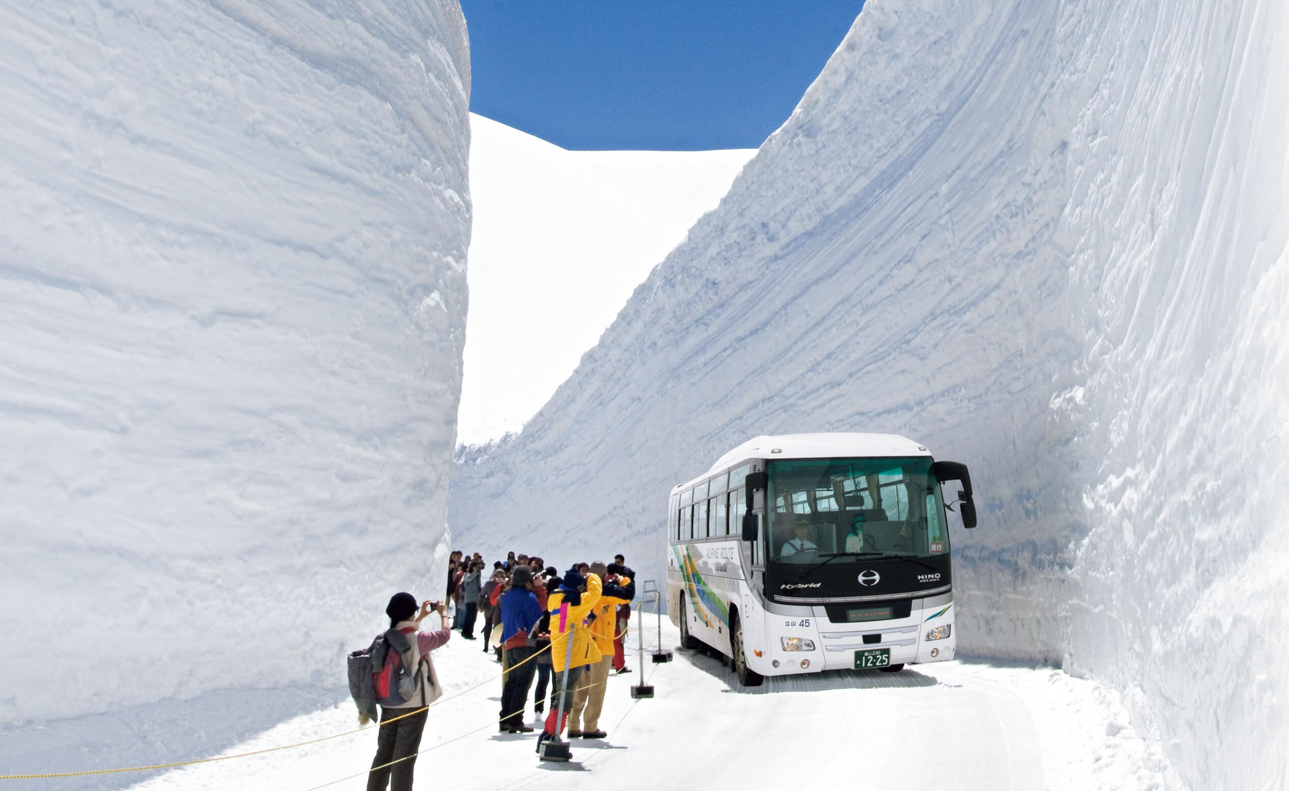 立山黑部2025年4月開山！搭車交通資訊整理與比較，立山黑部要怎麼玩
