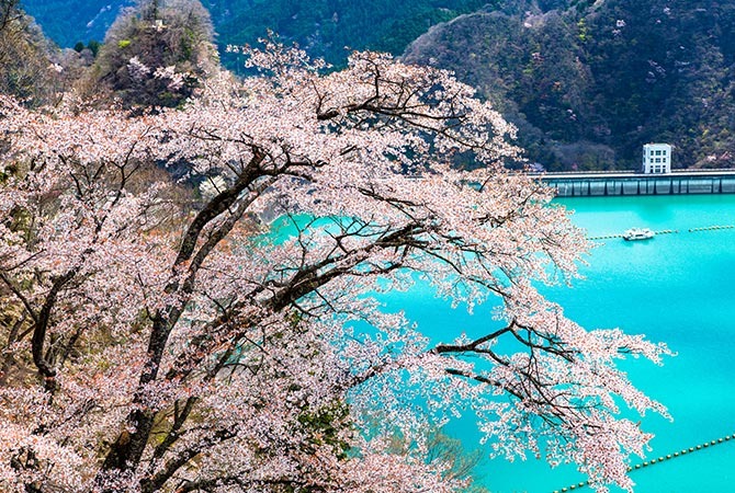 奧多摩一日遊景點：小河內水壩