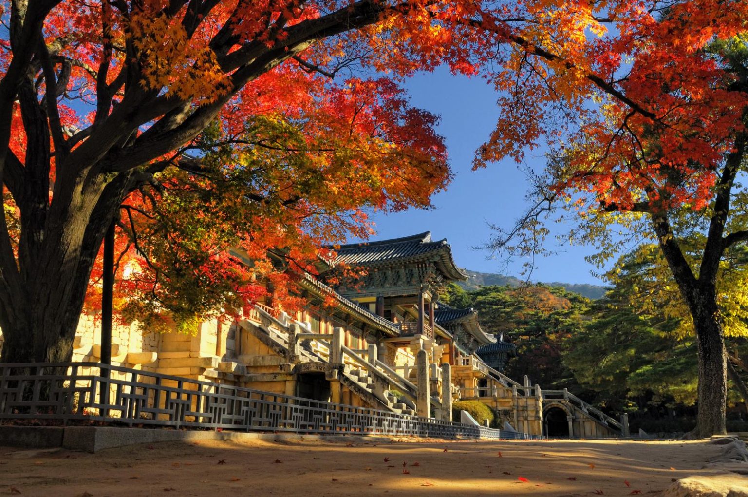 【2024韓國自由行】 慶州一日遊 行程推薦!8大必玩景點、交通方式一次看 | Funliday