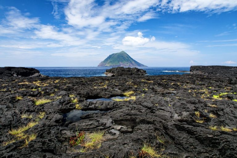 此生必去 八丈島 賞鯨!八丈島交通、推薦景點、美食住宿一次看| Funliday