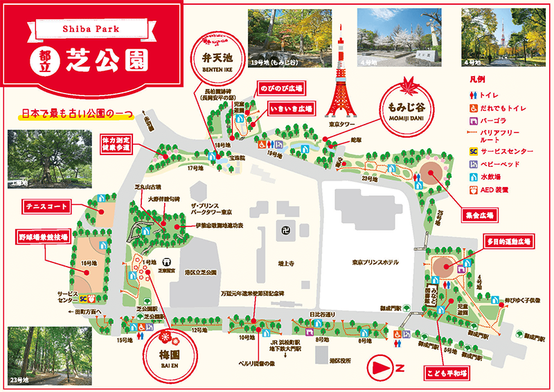 【2025版】東京楓葉最佳時間|必訪賞楓景點與紅葉見頃預測 免費參觀的芝公園可以賞楓兼賞東京鐵塔