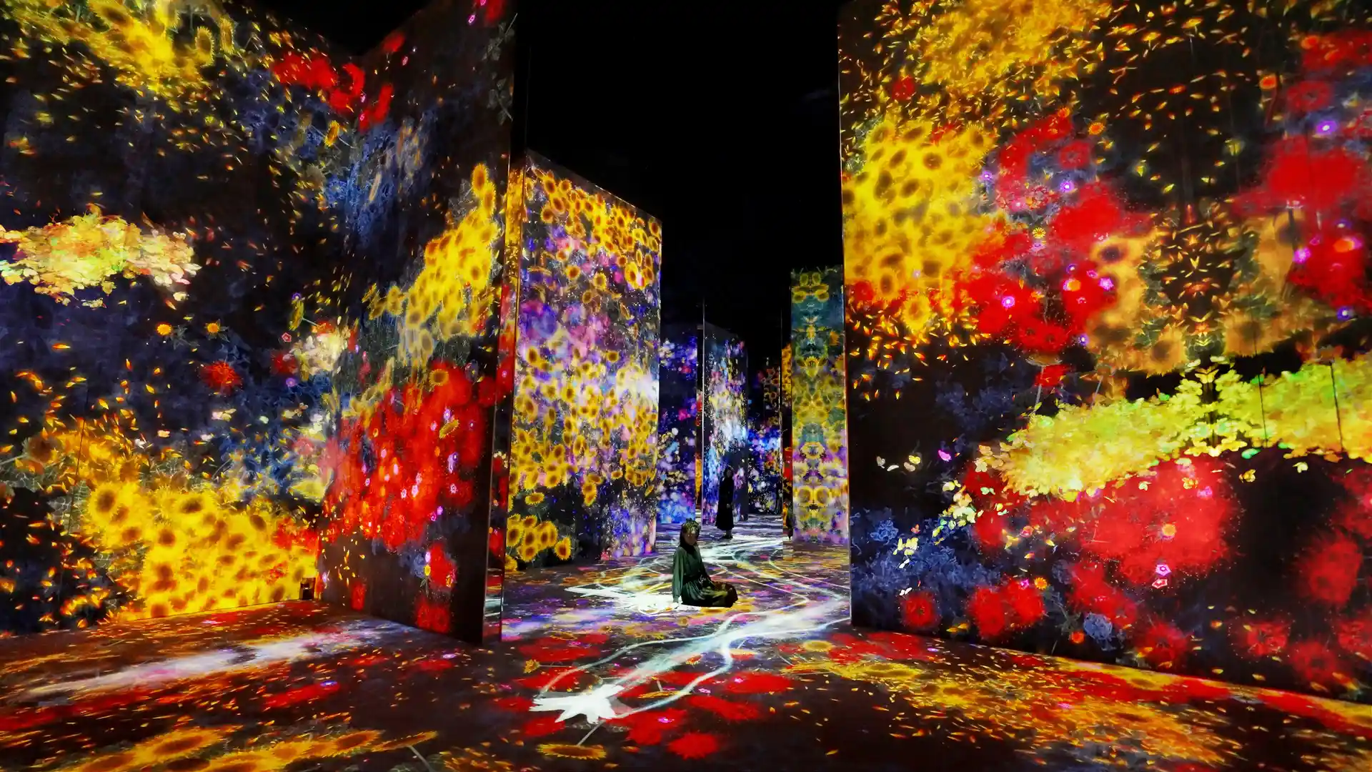 日本必看teamLab藝術展全攻略！東京、大阪、福岡、沖繩展場資訊總整理 | Funliday