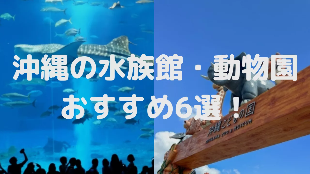 沖縄で水族館や動物園を満喫しよう！