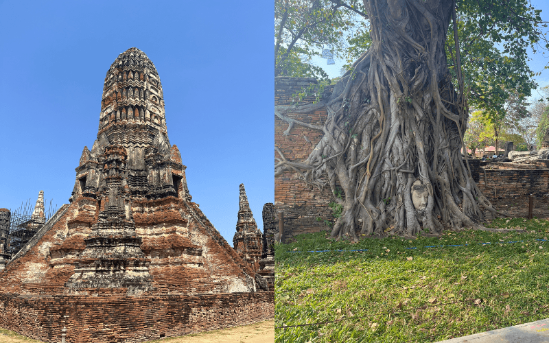 タイ・アユタヤ古陶平碗 2026年】タイ・アユタヤ観光ガイド！タイの旧都を巡る1日旅行おススメ