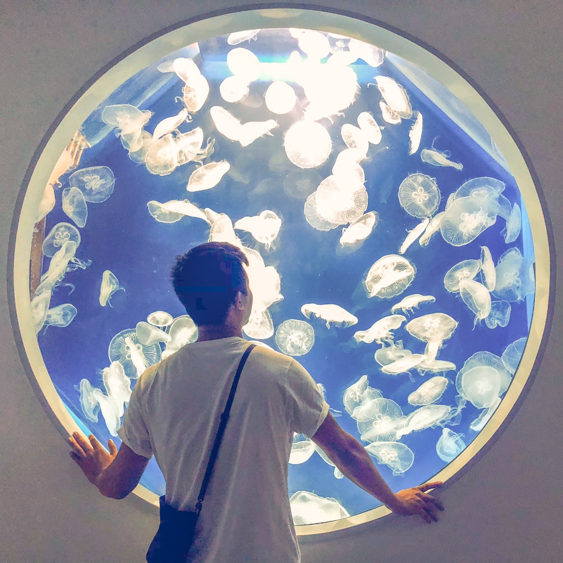 Austin Yu | Funliday travel guru